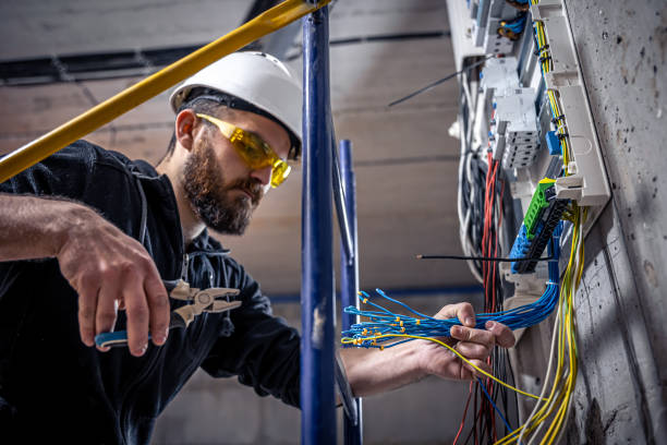 Best Local Electrician Companies  in Holley, NY